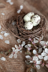 Fototapeta na wymiar Spring still life with quail eggs and flowers. Easter background