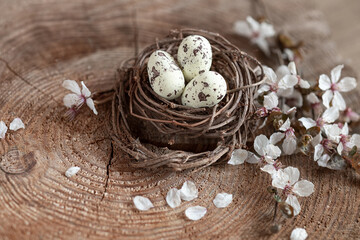 Spring still life with quail eggs and flowers. Easter background