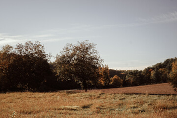 Paysages d'Anjou en automne