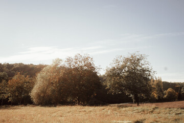 Paysages d'Anjou en automne