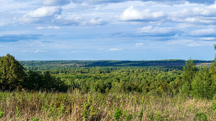 landscape, view of the forest valley
