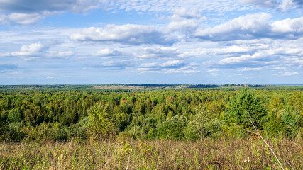 Fototapeta na wymiar landscape, view of the forest valley