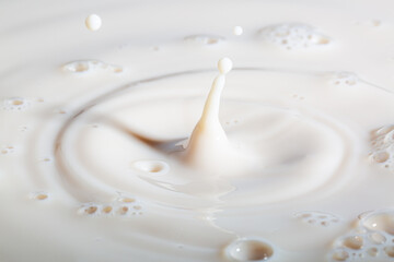 macro milk drop,Drop on milk cream dairy product yoghurt milkshake texture swirl graphic design element for packaging flyer ad poster cream splash with ripple circle