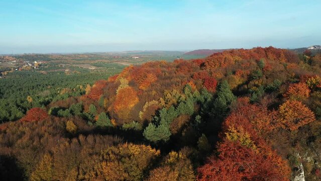 fall colors in the mountains