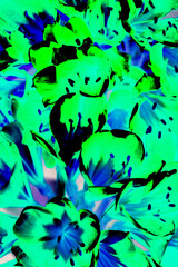 Fototapeta na wymiar Green and blue abstract alteration of a Clivia blossom image