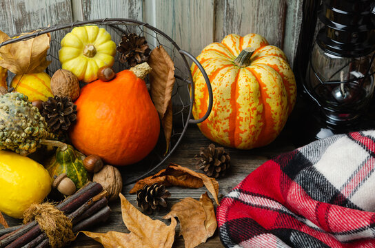 Thanksgiving autumn decoration. Autumn still life with colorful pumpkins, fall foliage, acorns, background stock photo 