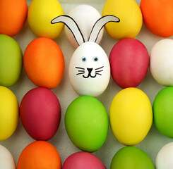 Fototapeta na wymiar Funny bunny among colorful eggs. Holiday card. Easter background 