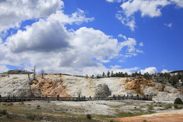 yellowstone landscape with blue sky