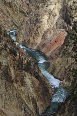 Fototapeta na wymiar waterfall in the mountains; yellowstone