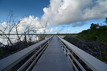 Rebuilt Boardwalk to West Lake in Everglades National Park, Florida that was destroyed by Hurricane Irma in September 2017.
