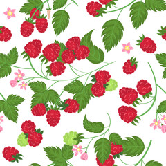 Vector raspberry seamless pattern. Elements design for sweets and pastries filled with raspberry, dessert menu, health care products, cosmetics,  textile, wrapping.