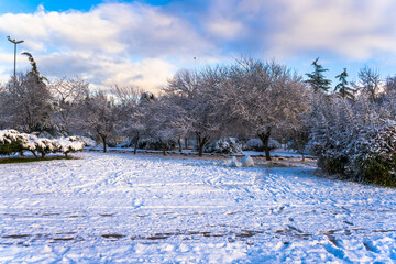 Beautiful panoramic view of winter landscape with many snow and frozen trees. Winter forest covered with snow. New Years landscape. Dramatic wintry scene.Amazing athmospheric Landscape. winter scenery