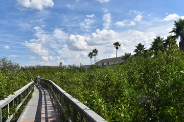 Indian Rocks Beach Nature Preserve in Florida