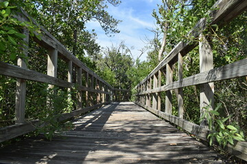 Indian Rocks Beach Nature Preserve in Florida