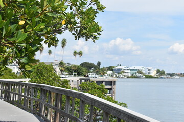 Indian Rocks Beach Nature Preserve in Florida