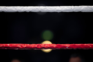 Boxing ring ropes with a blur spotlight. Horizontal sport theme poster, greeting cards, headers,...