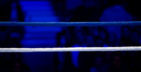 Boxing ring ropes with a blur spotlight. Horizontal sport theme poster, greeting cards, headers,...