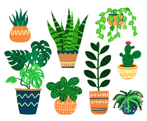 Set of various potted plants in decorative flower pots