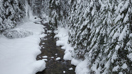 Panorama of frozen Jiet river flowing through a snowed coniferous forest. Winter Season, Carpathia, Romania.
