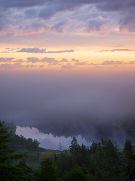 Morning Fog over Forest Lake
