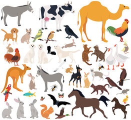 animals set in flat design, isolated, vector