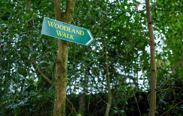 Woodland Walk directional sign attached to tree trunk in the woods.
