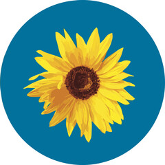 Sunflower Yellow and Blue Color