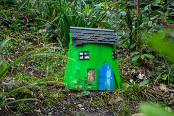 Cute green wooden fairy house with blue door on the forest floor in a charming fairy garden in Ireland.