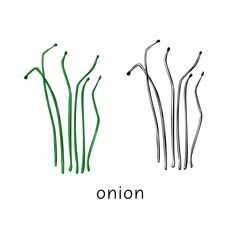 Hand drawn onion micro greens. Vector illustration in sketch style isolated on white background.
