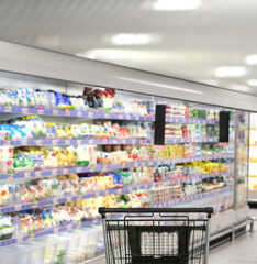 choosing a dairy products at supermarket.empty grocery cart in an empty supermarket