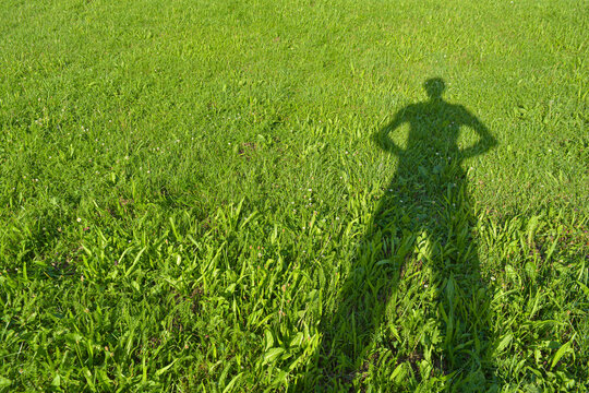 Nature Grass Shade Person Human Lawn Shadow