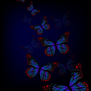 Flying blue butterflies on a dark background. Vector illustration