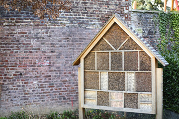 wild solitary bees mating on insect hotel at springtime. Wild bees nesting in a wooden insect hotel
