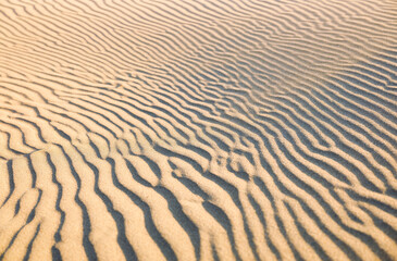The sand dunes during sunset as a background. Summer composition in the desert. Hot weather. Lines in the sand.