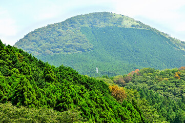 足柄山地　夏の矢倉岳
