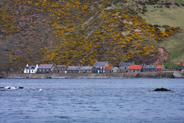 Budynki © Sagittarius