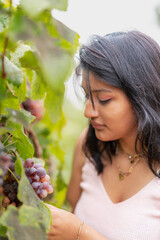 Close-up of young woman in the field checking the grape bush