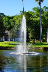 spring tree leaf and pond in florida	
