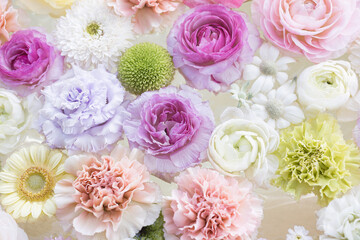Colorful flowers on water. Flat lay composition.