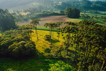 Aerial view of a rural area with mountains and field in Urubici, Brazil