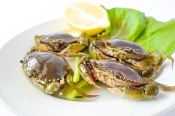 Green crab, oranges and vegetables on a white plate ready to be cooked
