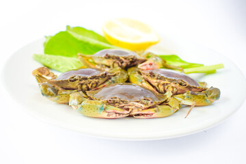 Green crab, oranges and vegetables on a white plate ready to be cooked.