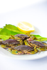 Green crab, oranges and vegetables on a white plate ready to be cooked