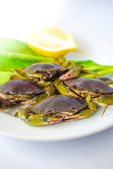 Green crab, oranges and vegetables on a white plate ready to be cooked