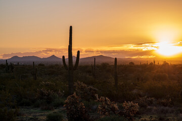 Sunrise in Phoenix