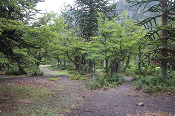 beautiful landscape of patagonia argentina