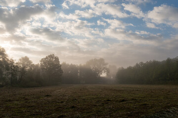 Fototapeta na wymiar Fog covered field and a Trees in small Bavarian town Murnau at dawn