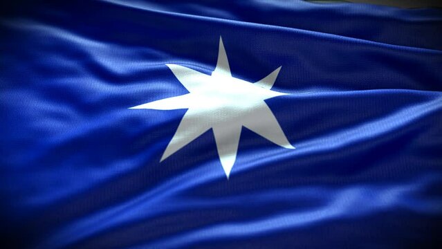 Bandera mapuche Wu&ntilde;elfe.