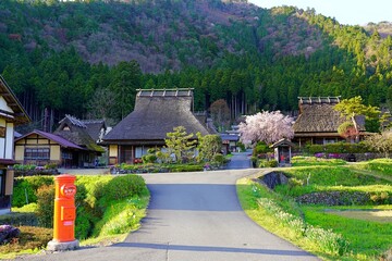 Spring comes in the countryside village