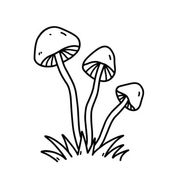 recommend clip art: Mushrooms in the grass isolated on white background. Poisonous toadstool. Vector hand-drawn illustration in doodle style. Perfect for cards, decorations, logo.